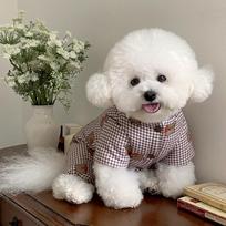 Pet Plaid Teddy Bear Coat Four Legged Autumn and Winter Dog Clothes Thick and Warm Teddy Bear Small Dog Autumn and Winter XS