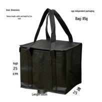Large Capacity Double Zipper Insulated Picnic Ice Pack Bag – Black Non-woven Fabric