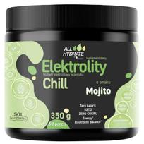 Aliness „ALLHydrate Electrolytes CHILL“, „Mojito“ – 350 g