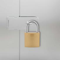 U Shaped Lock with Keys 100 pcs Brass Coated Iron