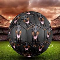 Doberman Foxhound Indoor Soccer Ball Size 5 Colorful All Ages Machine Stitched PVC Competition Ready Durable High-Bounce