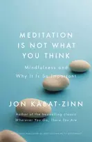 KNYGA Jon Kabat Zinn Meditation is Not What You Think