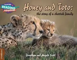 KNYGA Jonathan and Angela Scott Cambridge Reading Adventures Honey and Toto: The Story of a Cheetah Family 1 Pathfinders