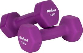 Svarmenų rinkinys Rebel Active, 2 x 2.5 kg