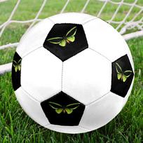 1PC Green Butterfly Flight Soccer Ball Size 5 Football Machine Sewn Indoor/Outdoor Universal Football W98 Size 5