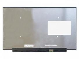 Ekranas 17.3", 1920x1080, 360Hz, matinis, 40pin, dešinėje, IPS
