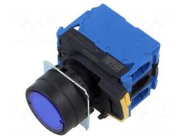 Switch: push-button | 22mm | Stabl.pos: 2 | NO x2 | blue | LED | IP66 | flat
