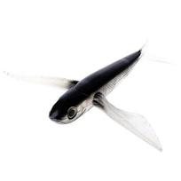 Seawater PVC Fishing Bait Flying Fish Lure Boat Trolling Tuna Mackerel Soft Baits 21cm/130g
