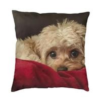 Cavalier King Charles Spaniel Luxury Pillow Cover Home Decorative Dog Animal Cushions For Sofa Double Sided Print Chair Cushion Peach skin 18*18(CM)-1Pcs