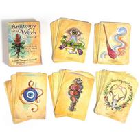 Raganių anatomija Oracle kortos Būrimo kaladė Anglų kalba Vision Edition Tarot Lenta Žaidimas vakarėliui