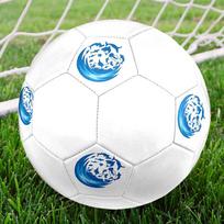 1PC Ocean Life Globe Soccer Ball Size 5 Football Machine Sewn Indoor/Outdoor Universal Football W108 Size 5