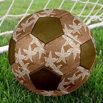1pc Floral Lace Durable Soccer Ball/Football, Size 5, Perfect for Training, Entertainment And Competition,Gift yy26060624 Size 5