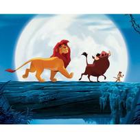 Dažymas pagal numerius Paveikslai dažymui Liūtas Karalius Hakuna Matata 50X40 Cm