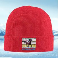 Horse rider racing on track Unisex Women Unisex Knitted Hat Beanie Pullover Cap Winter Thermal Warm Christmas Outdoor Cycling Hikin
