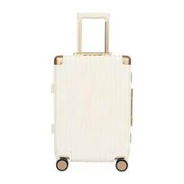 Rhino Walker 810 Premium aliuminio rėmo lagaminas 22 inch balta