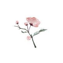 Handmade Begonia Flower Embroidery Patches Iron on Clothes Sticker Clothes Appliques  Sewing pink-Style A