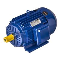 Elektros variklis 0,75KW 380V KD1809