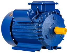 Elektrinis variklis 3,0 kW 220V KD1804