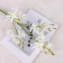 Mažas Drugelis Dirbtinė Vanda Orchidėja Rankų Darbo Tikro Kosčio Imitacija Mini Orchidėja 72cm Realistiška balta
