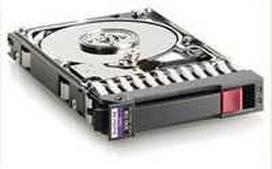 Hewlett Packard (HP) HP 300GB hot-plug dual-port SAS hard disk drive - 10,000 RPM