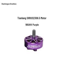 TYI Sirius 2306.5 FPV Drone Motor