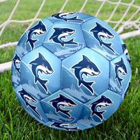 1 vnt. Vandenyno ryklių nuotykių futbolo kamuolys, 5 dydžio, mašininiu būdu susiūtas, universalus futbolo kamuolys patalpoms/lauko n16 Size 5