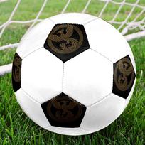 1PC Phoenix Artwork Soccer Ball Size 5 Football Machine Sewn Indoor/Outdoor Universal Football Gift W66 Size 5