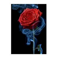 Diamond Painting Kit 5D Embroidery Painting Kit For Gem Cross Stitch Crafts Flower Mosaic 3D Gift With Round Diamond 30X40cm red
