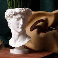Ins Nordic David Vase 3D Printed Human Face Planter Hydroponic Flower Pot Makeup Brush Storage Bucket Vintage Home Table Decor balta