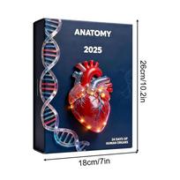 2D acrylic pendant Xmas Advent Anatomy Calendar Christmas 24-Day  Human Anatomy Miniatures for Doctors Nurses Teachers Students 26x18cm