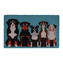Iš kokoso pluošto grindų kilimėlis 45x75 cm – Esschert Design