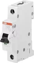 Automatinis jungiklis ABB S201-B10 1P 10A B charakteristika (2CDS251001R0105)