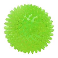 EETOYS Spiky Squeaky Chew Ball Dog Toy