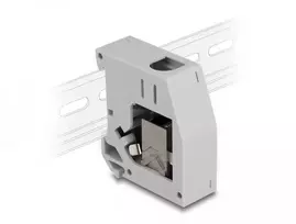 DeLOCK DIN bėgelio adapteris RJ45 lizdas – RJ45 lizdas Cat.6A pilka