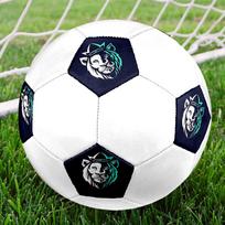 1PC Lion Majesty Soccer Ball Size 5 Football Machine Sewn Indoor/Outdoor Universal Football S80 Size 5