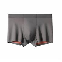 Boxers Ice Silk Man Underwear Boxer Graphene Men Underpants Breathable Comfortable Men's Panties Ultrathin Boxer Shorts L