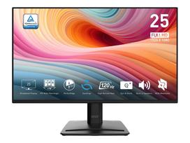 MSI PRO MP252 E2 25 IPS 1920 x 1080 (Full HD) HDMI DisplayPort 120Hz