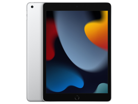 Apple preowned Apple 10.2-inch iPad Wi-Fi + Cellular 10.2 32GB Silver Grade A