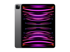 APPLE 12.9-inch iPad Pro (2022) Wi-Fi + Cellular 12.9 128GB 8GB Gray Grade - New Open Box