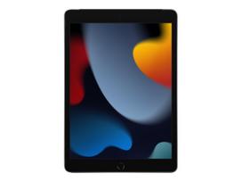 Apple preowned Apple 10.2-inch iPad Wi-Fi + Cellular 10.2 64GB Gray Grade A+