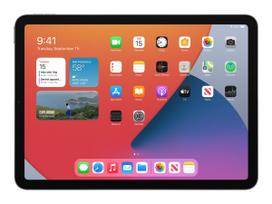Apple preowned Apple 10.9-inch iPad Air Wi-Fi + Cellular 10.9 64GB Gray Grade B