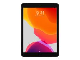 Apple preowned Apple 10.2-inch iPad Wi-Fi + Cellular 10.2 32GB Gray Grade A+
