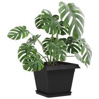 Plant Pots 6 pcs Black 28.5 x 28.5 x 22 cm Plastic