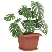 Flower Pots 24 pcs Terracotta Red 28.5 x 28.5 x 22 cm Plastic