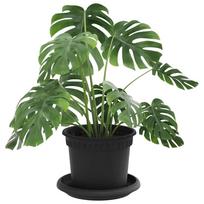 Flower Pots 24 pcs Black Ø 12.5 x 10 cm Plastic
