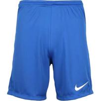 Nike Futbolo Kelnės Vyriškos Karališkos Mėlynos BV6856-463 M