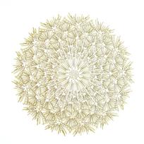 2/4PCS Dandelion Placemat for Dining Table PVC Plastic Hollow Coaster Table Bowl Mats Set Holiday Party Home Decor Wedding Party 2PCS auksas