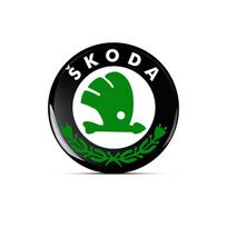 QWX3   Naujas 14 mm Pultelio Automobilio Logotipo Lipdukas Automobilio Nuotolinio Valdymo Raktui Skoda Octavia Rapid Kodiaq Karoq Superb Fabia Kamiq VisionS