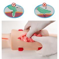 PVC Traumos Simuliacinė Žaizdos Praktikos Modulis Slaugos Mokymo Mokykloms Su Hemostazės & Pirmosios Pagalbos Praktikos Manekenais