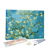 Paint by Numbers Almond Blossoms - Acrylic Painting Kit with Brushes & Pre-Printed Canvas 40*50cm